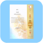 Frame-9658